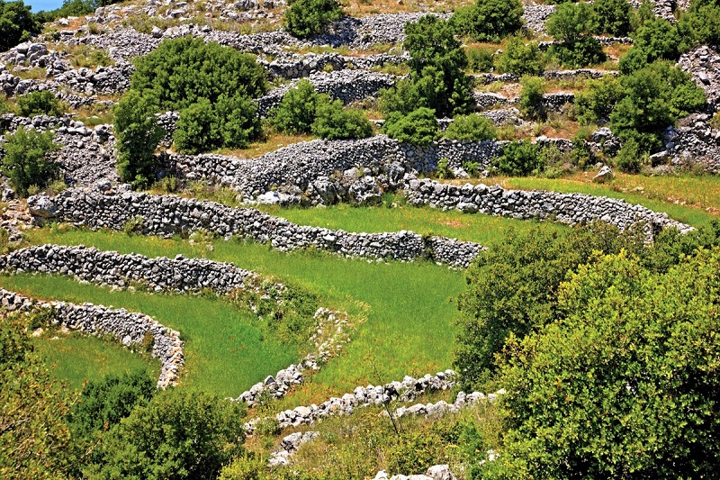 Ξερολιθιά: Η αθάνατη τέχνη της πέτρας