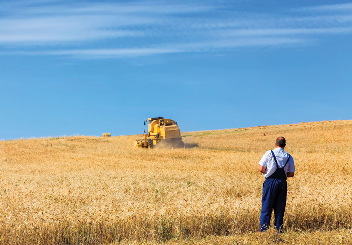 Ο κ. Παπαδημητρίου δήλωσε ότι «εμπορική ιδιότητα θα μπορούσαν να έχουν μόνο οι αγρότες που δεν καλλιεργούν οι ίδιοι τις εκτάσεις τους, αλλά χρησιμοποιούν οργανωμένη επιχείρηση για την εκμετάλλευσή τους». Ο κ. Παπαδημητρίου δήλωσε ότι «εμπορική ιδιότητα θα μπορούσαν να έχουν μόνο οι αγρότες που δεν καλλιεργούν οι ίδιοι τις εκτάσεις τους, αλλά χρησιμοποιούν οργανωμένη επιχείρηση για την εκμετάλλευσή τους».