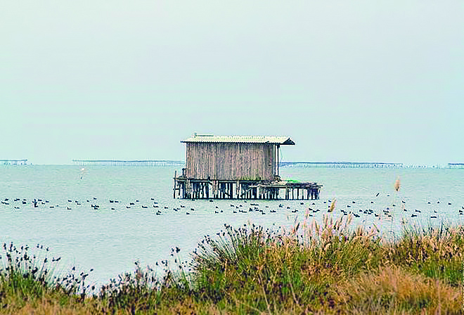 talaiporias-telos-sto-alieftiko-katafygio-tou-loudia-88175