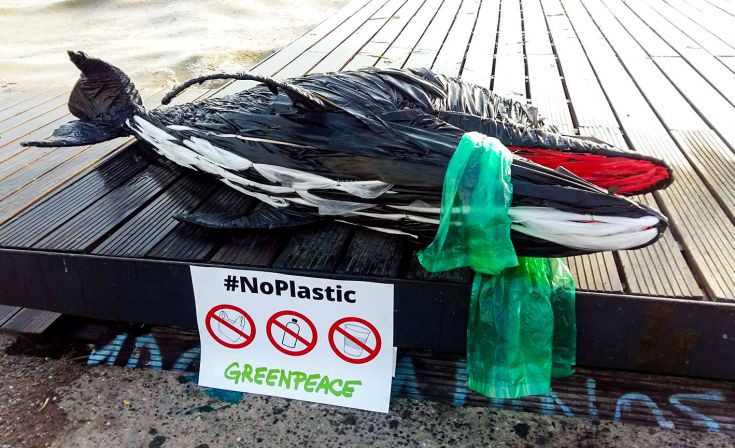 Ένα δελφίνι από… πλαστικά «ξέβρασε» η θάλασσα στη Θεσσαλονίκη