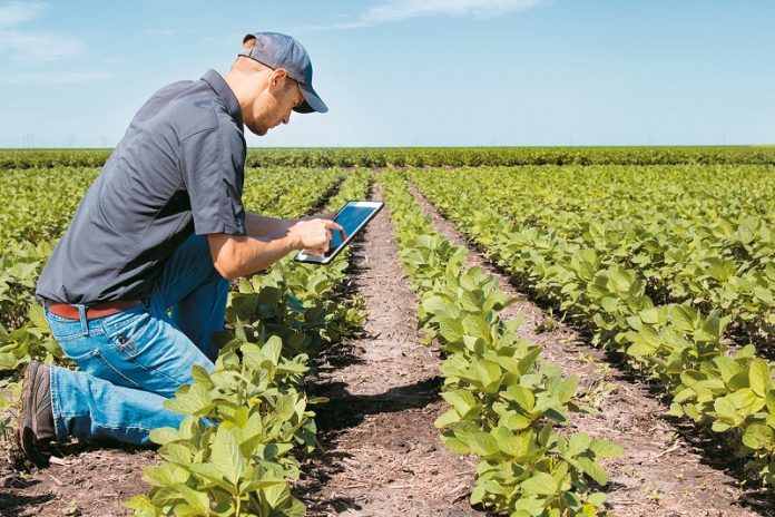 forologikes dilwseis agrotes tax