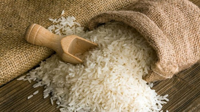 Ζωηρό ενδιαφέρον για το ρύζι που αλωνίζεται