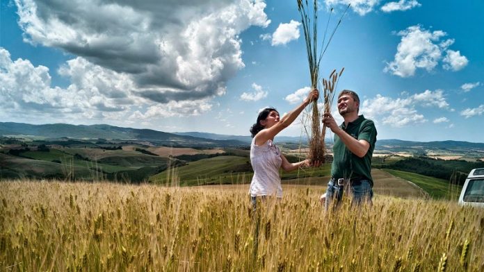 kke pos ypologizetai o foros neoeiserxomenon agroton (2)
