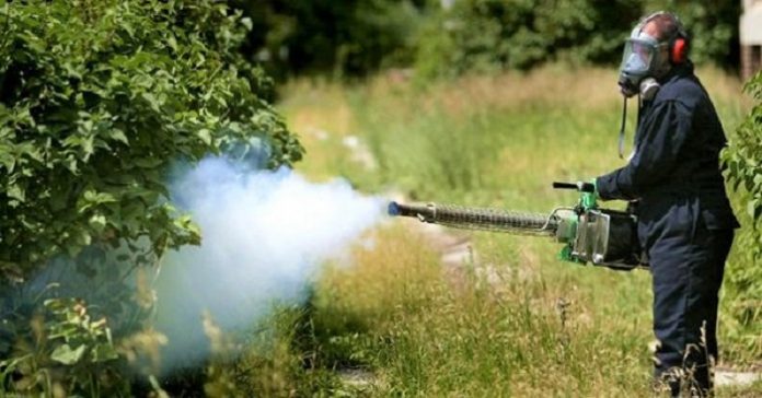 kounoupia Θεσσαλονίκη: Μείωση της όχλησης από τα κουνούπια τις επόμενες μέρες