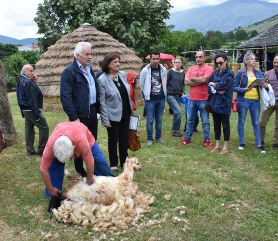 ΥπΑΑΤ: Ημέρα μαλλιού προβάτου - «Παράγουμε, Θυμόμαστε, Δημιουργούμε»