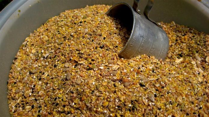 pet food
