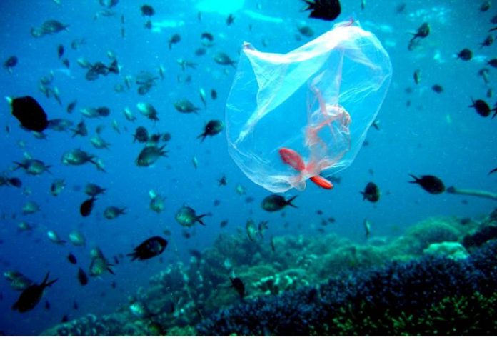 Νέα στοιχεία για τη μόλυνση από πλαστικά στη Μεσόγειο δίνει στη δημοσιότητα το WWF