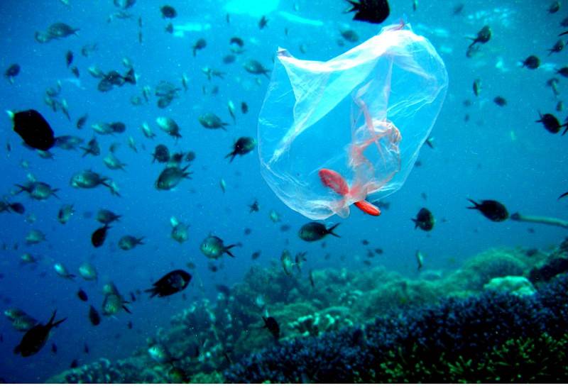 greenpeace-diapragmatefseis-gia-tin-pagkosmia-synthiki-plastikon-adiexodo-choris-symfonia-87342