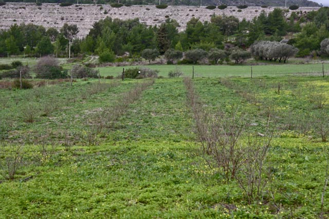 «Γεφύρι της Άρτας» το αρδευτικό έργο στον κάμπο Μαλώνα και Μασσάρων Ρόδου