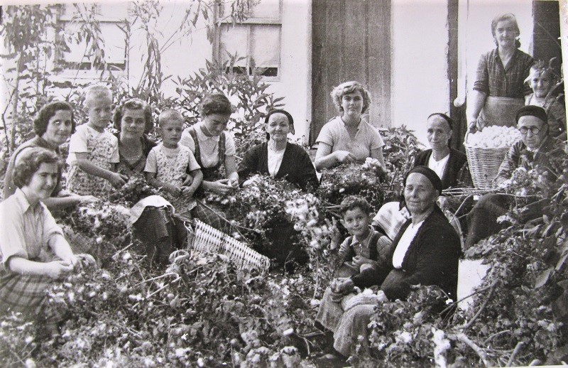 Σουφλί: Η Ιστορία του γραμμένη στην ούγια από καθαρό μετάξι