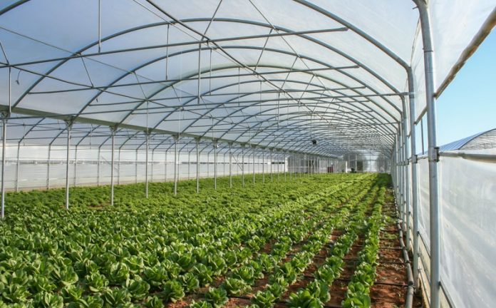 Στέγη στον αναπτυξιακό βρίσκουν αγροτικές επενδύσεις άνω των 500.000 ευρώ Στέγη στον αναπτυξιακό βρίσκουν αγροτικές επενδύσεις άνω των 500.000 ευρώ