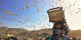 Θεσσαλονίκη: Ιδιωτικά απορριμματοφόρα θα μαζέψουν 1.200 τόνους σκουπιδιών