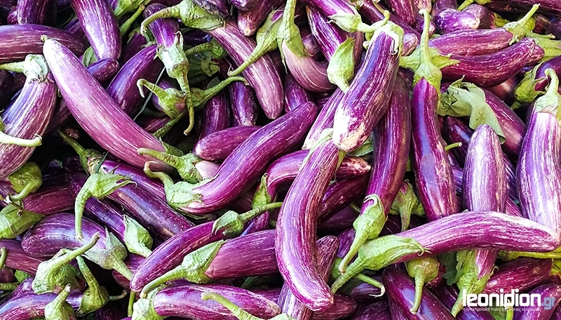 Η τσακώνικη μελιτζάνα Λεωνιδίου ΠΟΠ θα ταξιδεύσει στην Αμερική! (pics)