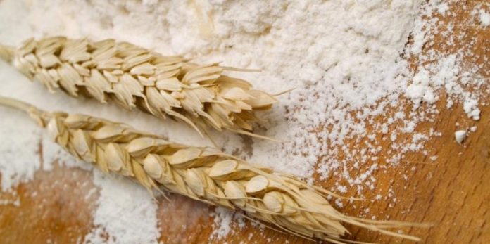 Χαμένη στον λαβύρινθο των εισαγωγών η αξία του, ούτως ή άλλως, ελλειμματικού μαλακού σίτου Χαμένη στον λαβύρινθο των εισαγωγών η αξία του, ούτως ή άλλως, ελλειμματικού μαλακού σίτου