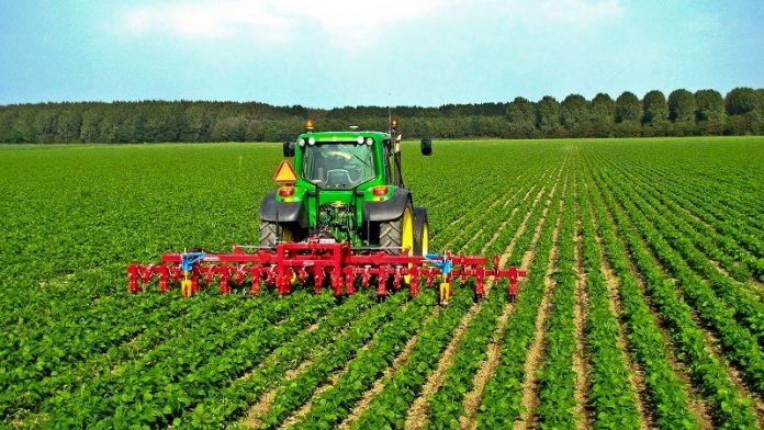 Χωρίς ποινές οι δηλώσεις καλλιέργειας για αγρότες με παραχωρήσεις χρήσης ακινήτων δημόσιας γης