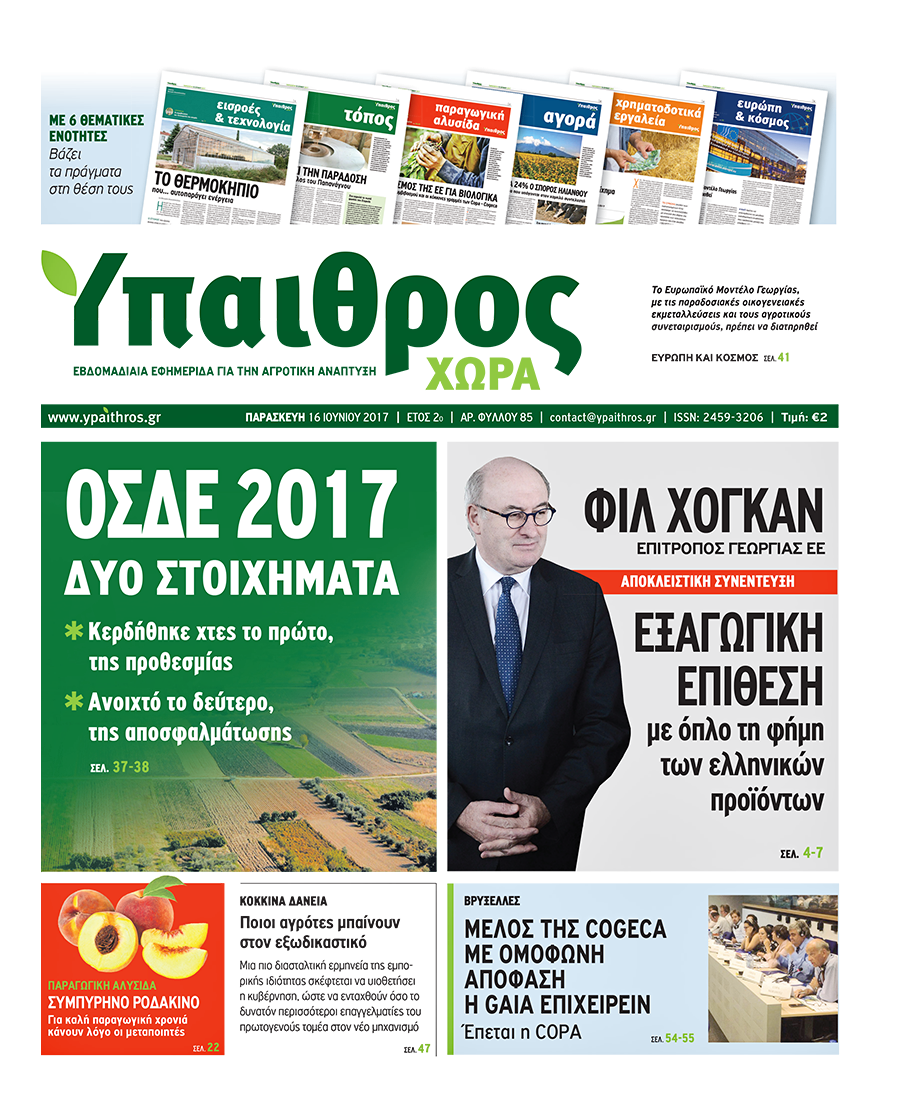fyllo-85-16-iouniou-2017-88058