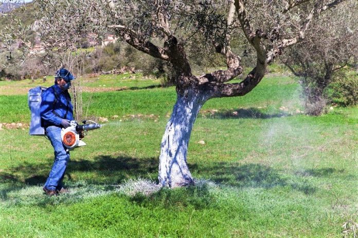 27 προσλήψεις για την δακοκτονία στην Καβάλα