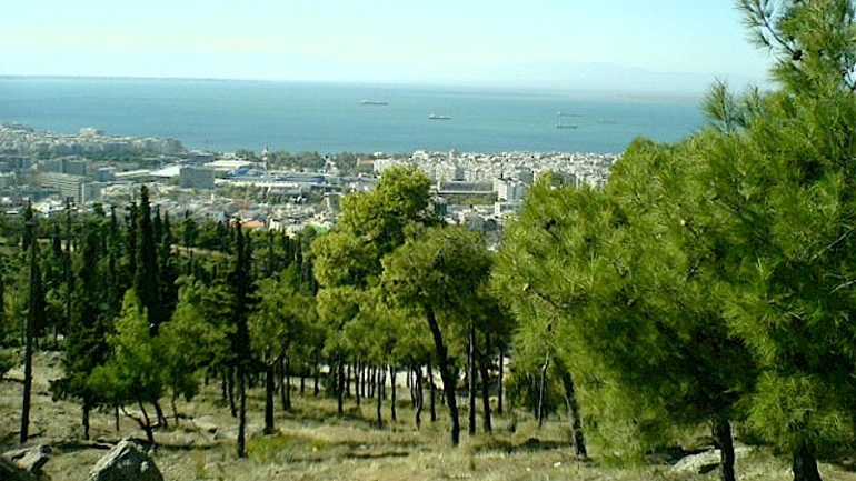 thessaloniki-chilia-diakosia-nea-dentra-fytevontai-tis-epomenes-imeres-se-nea-paralia-kai-seich-sou-90252