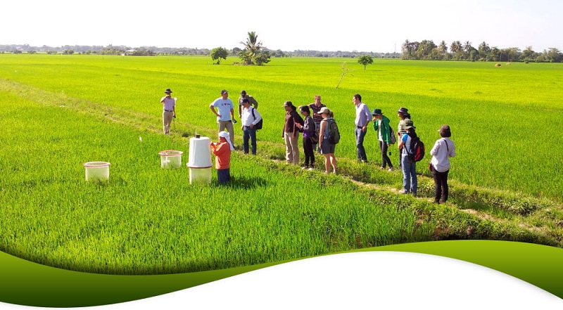 dimosiefsi-meletis-tourismos-kai-anaptyxi-vasika-megethi-kladikes-diasyndeseis-agrotrofiko-systima-94225