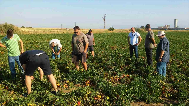 Επίσκεψη ΘΕΣΤΟ και ΕΛΓΑ σε πληγείσες περιοχές της Λάρισας και των Φαρσάλων 