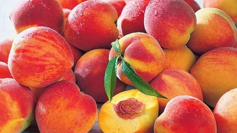 gia-epitrapezio-kai-viomichaniko-rodakino-syzitise-o-kalaitzidis-me-tous-agrotes-tou-nomou-imathias-90753