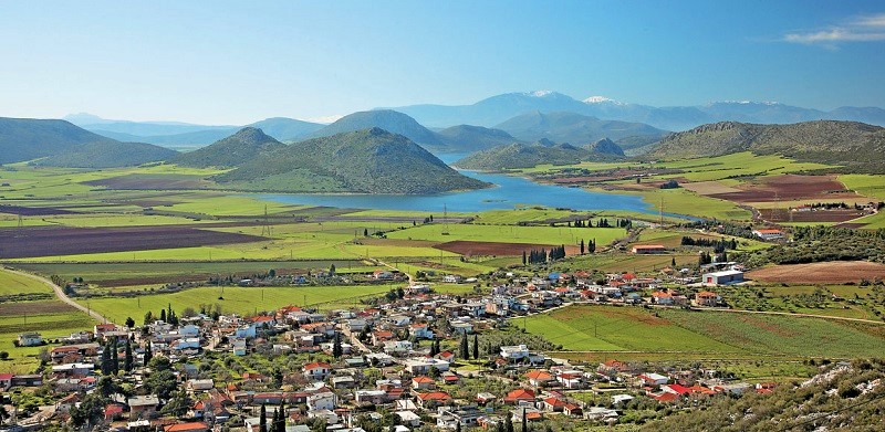 kafsonas-kai-kostos-paragogis-gonatisan-tous-agrotes-ton-thivon-93613