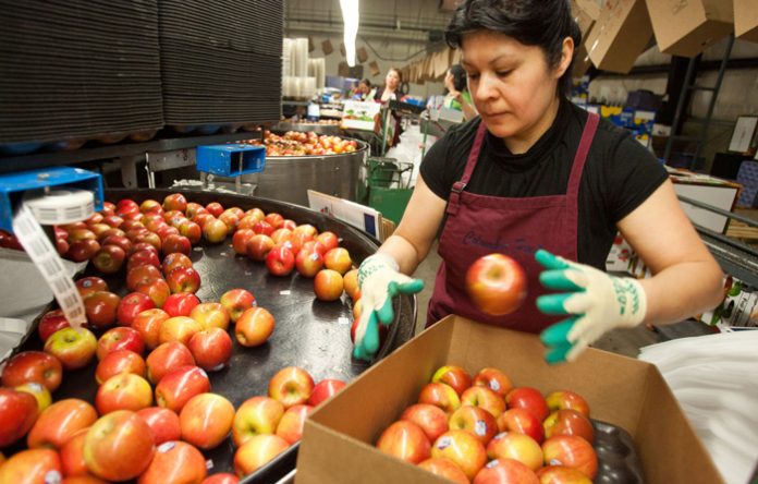 Πτώση αναμένεται για τη φετινή ελληνική και ευρωπαϊκή παραγωγή μήλων