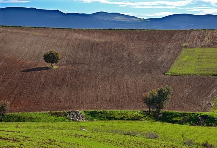 neos salos farsala ypothesi agroton fpa apozimioseis elga