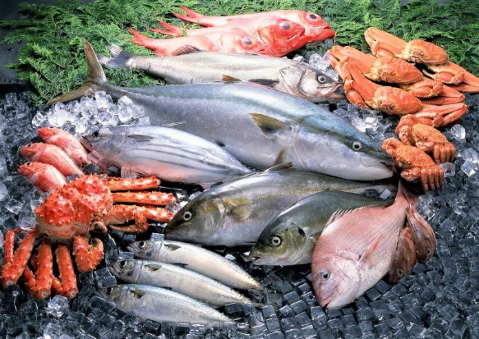 okaa ellinika einai fresca psaria kataligoun piato ΟΚΑΑ: Ελληνικά είναι τα περισσότερα φρέσκα ψάρια που καταλήγουν στο πιάτο μας