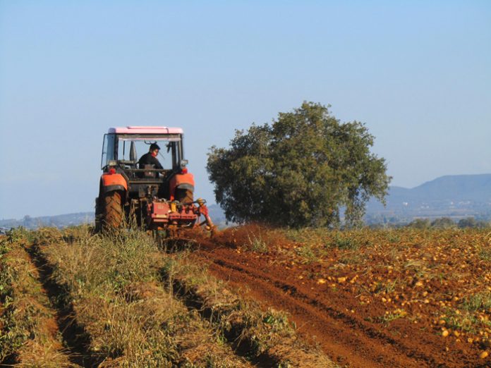 Κριτήρια ένταξης για την ανάπτυξη μικρών γεωργικών εκμεταλλεύσεων Κριτήρια ένταξης για την ανάπτυξη μικρών γεωργικών εκμεταλλεύσεων