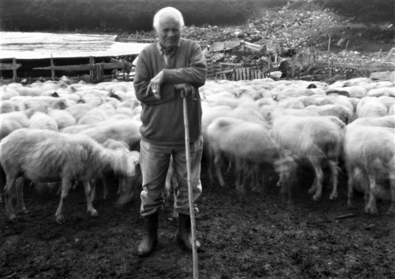 Τέσσερις εκπληκτικές φωτογραφικές εκθέσεις στη Βωβούσα