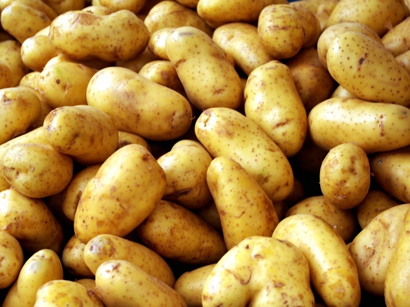 eas-naxou-i-patata-naxou-exantlithike-92519