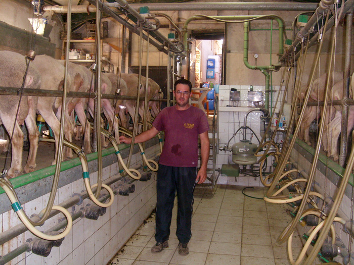 Μιχάλης Φακαλής, μέλος του Συνεταιρισμού «Βοσκός»