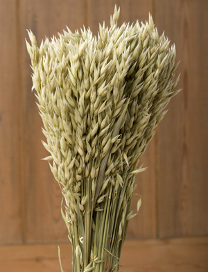 Βρώμη: Καλλιέργεια χωρίς απαιτήσεις και με χαμηλό κόστος παραγωγής