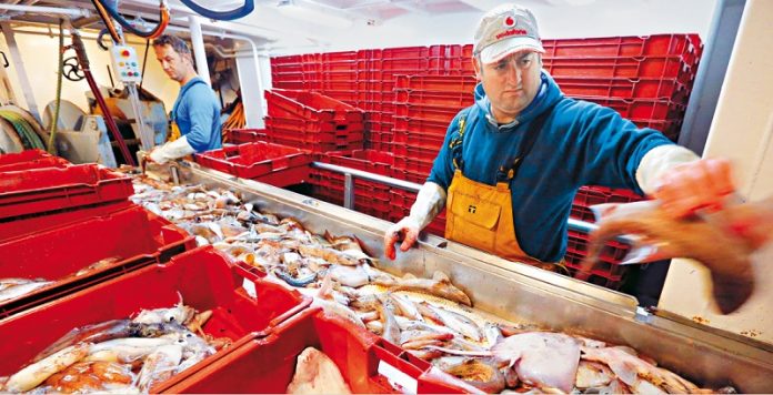 ypaat 118 ekat euro enisxietai klados alieias ydatokalliergeion metap2oiisis alieytikon proionton ΥΠΑΑΤ: Με 118 εκατ ευρώ ενισχύεται ο κλάδος της αλιείας, υδατοκαλλιεργειών και μεταποίησης αλιευτικών προϊόντων