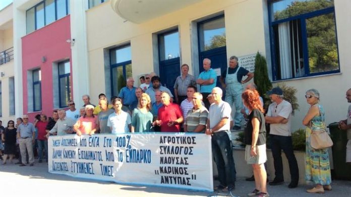 Σε συμβολική κατάληψη στα γραφεία του ΕΛΓΑ στη Βέροια προχώρησαν σήμερα αγροτικοί σύλλογοι και ομάδες παραγωγών