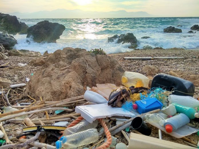 arxipelagos stomachia kataligoun plastika aporrimmata Αρχιπέλαγος: Στα στομάχια δελφινιών καταλήγουν τα πλαστικά απορρίμματα