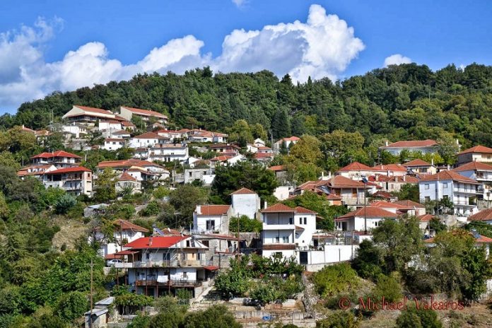 epistoli dimarxou zitsas ypourgo agrotikis anaptyxis stirixi mikron mesaion ampelokalliergeiton Επιστολή Δημάρχου Ζίτσας προς τον Υπουργό Αγροτικής Ανάπτυξης για τη στήριξη των αμπελοκαλλιεργητών