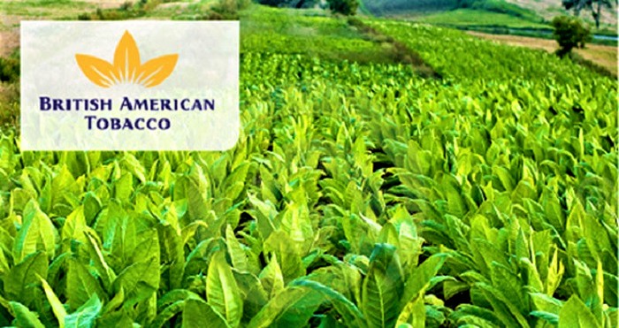 erevna-gia-diafthora-se-varos-tis-british-american-tobacco-94391