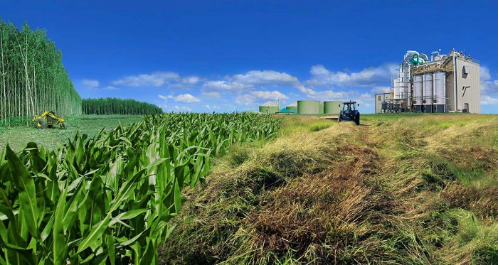 ta-viokafsima-me-vasi-ta-agrotika-proionta-den-einai-aparaititos-zimiogona-gia-to-perivallon-95243