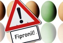 fipronil-avga-skandalo