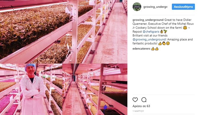 growing-underground-instagram