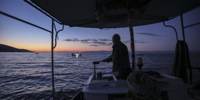 Κινέζοι ψάρευαν παράνομα τον Μαλιακό «αγγούρια της θάλασσας» που πωλούνται 1.000 ευρώ το κιλό