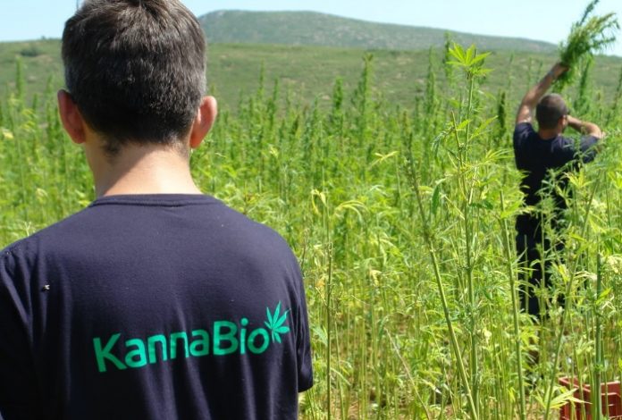 Μαγνησία: Ο πρώτος θερισμός βιολογικών ανθών είναι γεγονός Μαγνησία: Ο πρώτος θερισμός βιολογικών ανθών είναι γεγονός