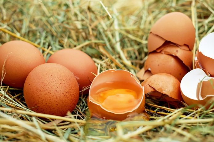 Μολυσμένα αυγά και στο Λουξεμβούργο