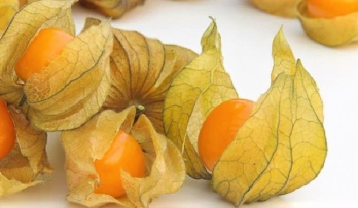 oikologikis kalliergeias tropika frouta paragontai notia kriti