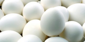 Ολλανδία-Μολυσμένα αυγά: Ελέγχους στο κρέας των πουλερικών πραγματοποιεί η Ολλανδία