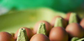 Ολλανδία-Μολυσμένα αυγά: Η παρουσία του fipronil ήταν γνωστή από τον Νοέμβριο 2016