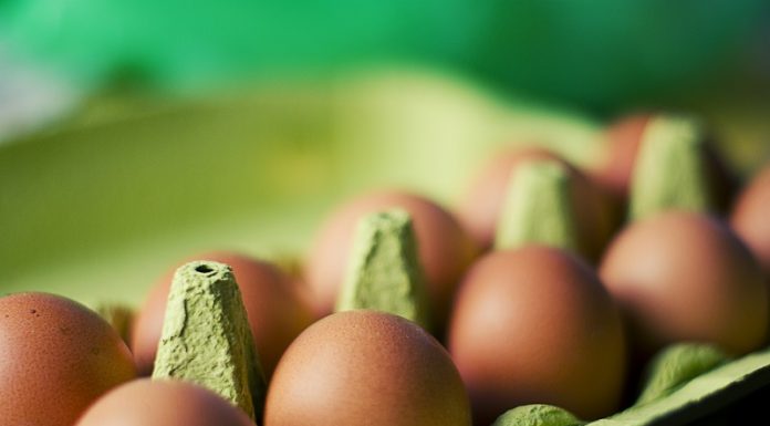 Ολλανδία-Μολυσμένα αυγά: Η παρουσία του fipronil ήταν γνωστή από τον Νοέμβριο 2016