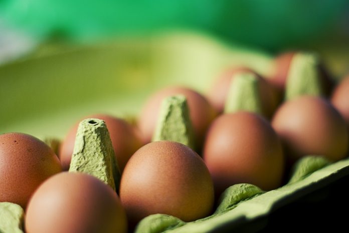 ollandia molysmena avga parousia fipronil gnosti noemvrio 2016 Ολλανδία-Μολυσμένα αυγά: Η παρουσία του fipronil ήταν γνωστή από τον Νοέμβριο 2016